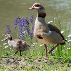 Familienausflug