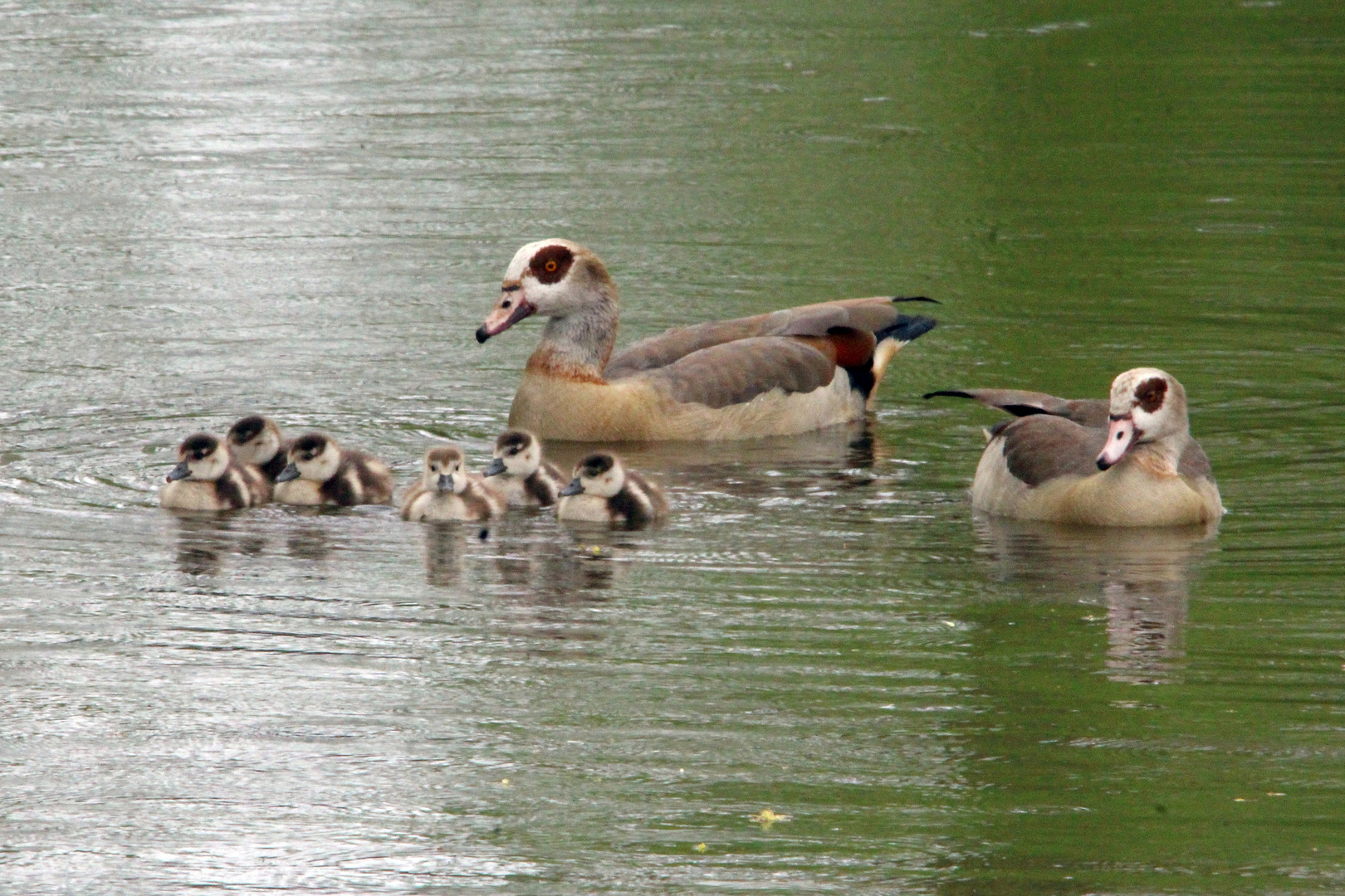 Familienausflug