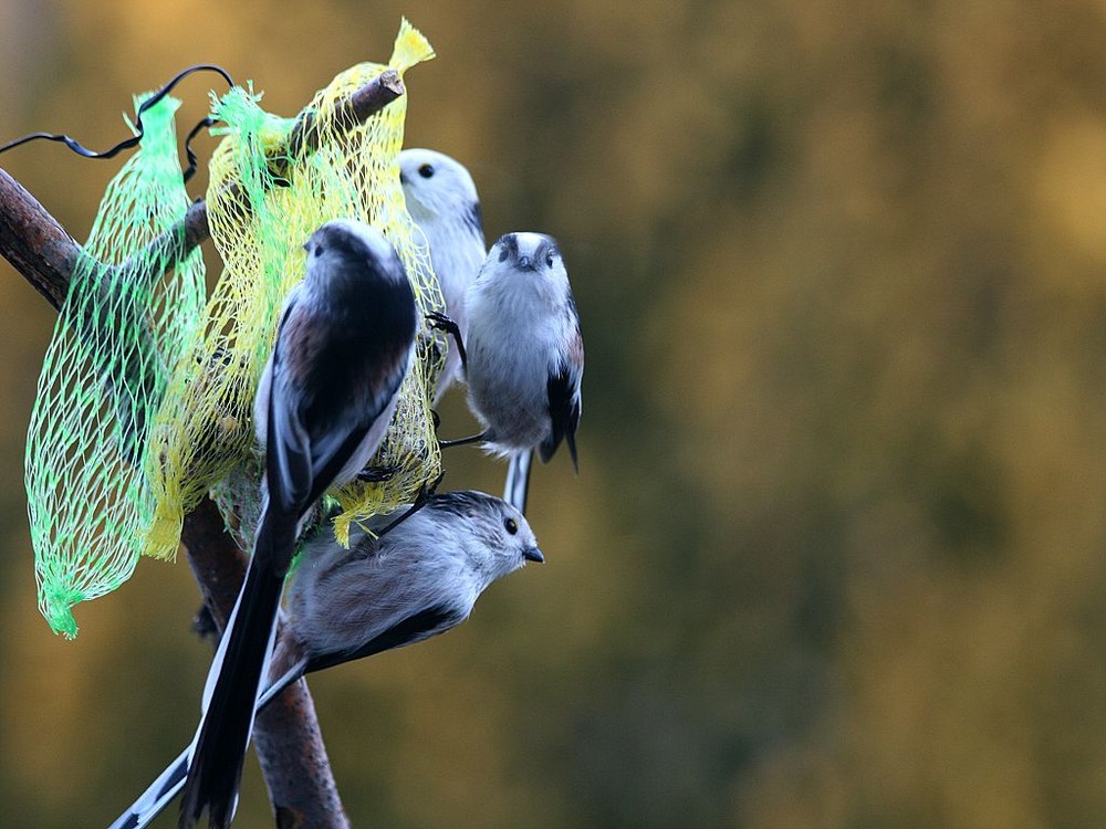 Familienausflug