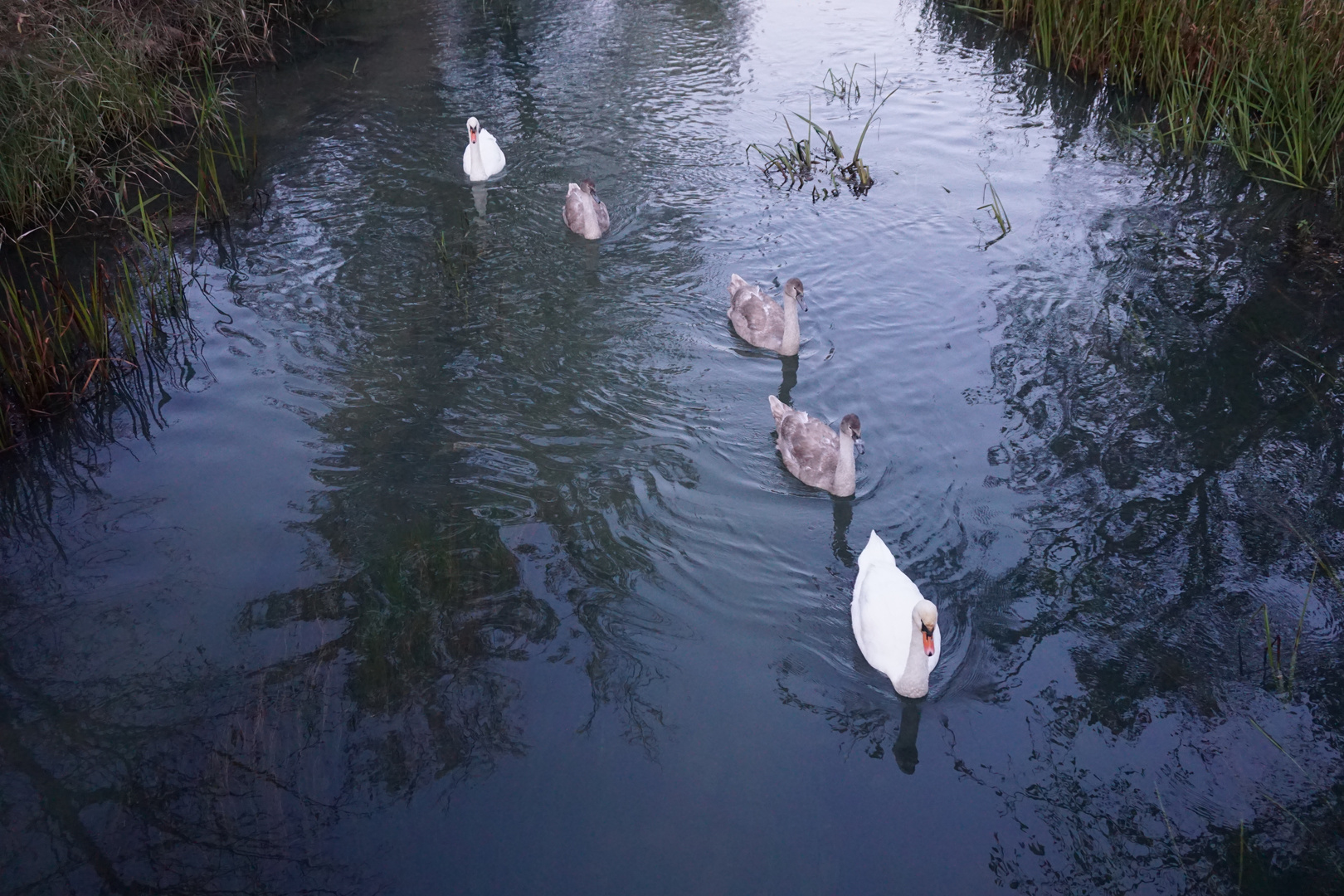 Familienausflug