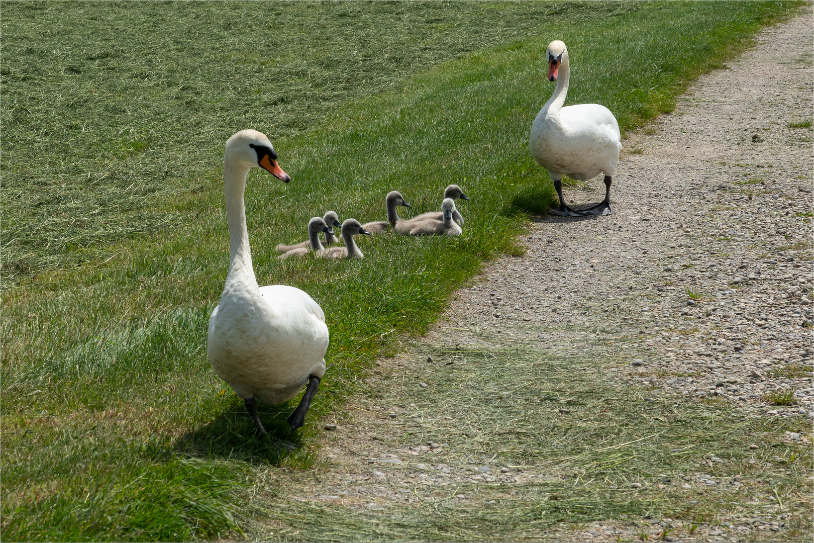 Familienausflug