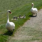 Familienausflug