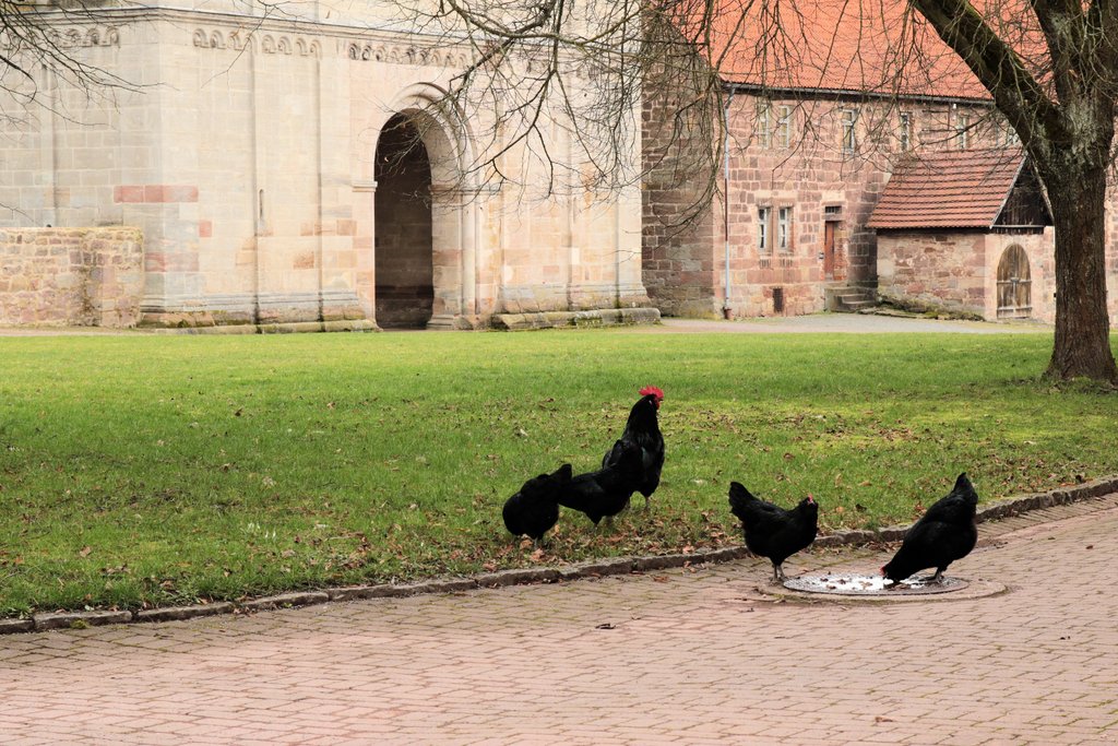 Familienausflug