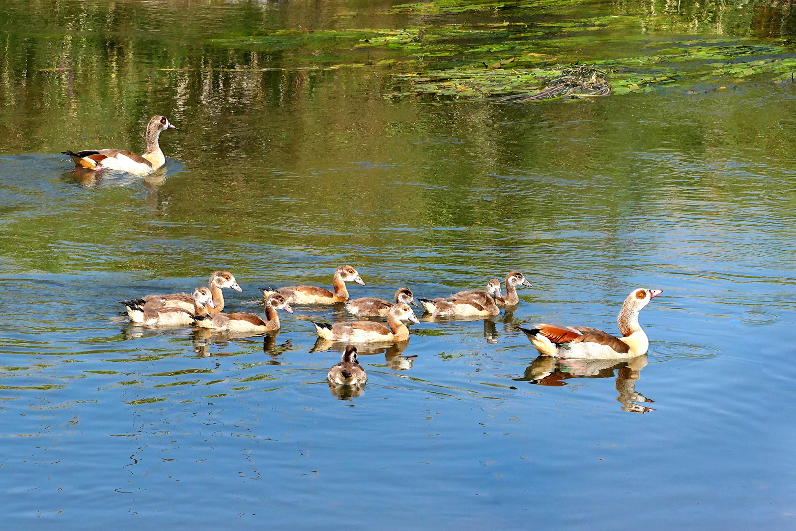 Familienausflug