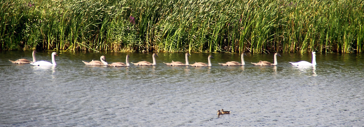 Familienausflug