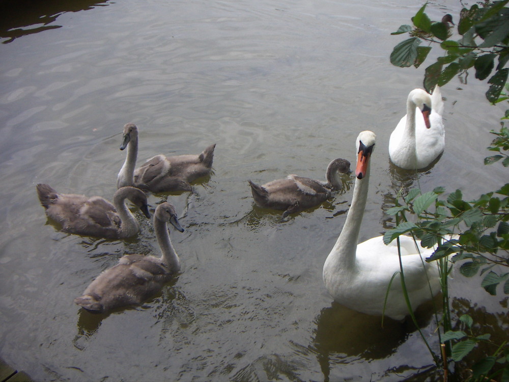 Familienausflug...