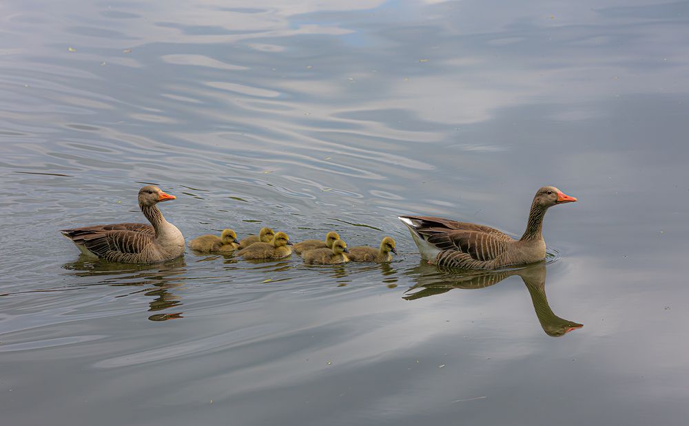 Familienausflug