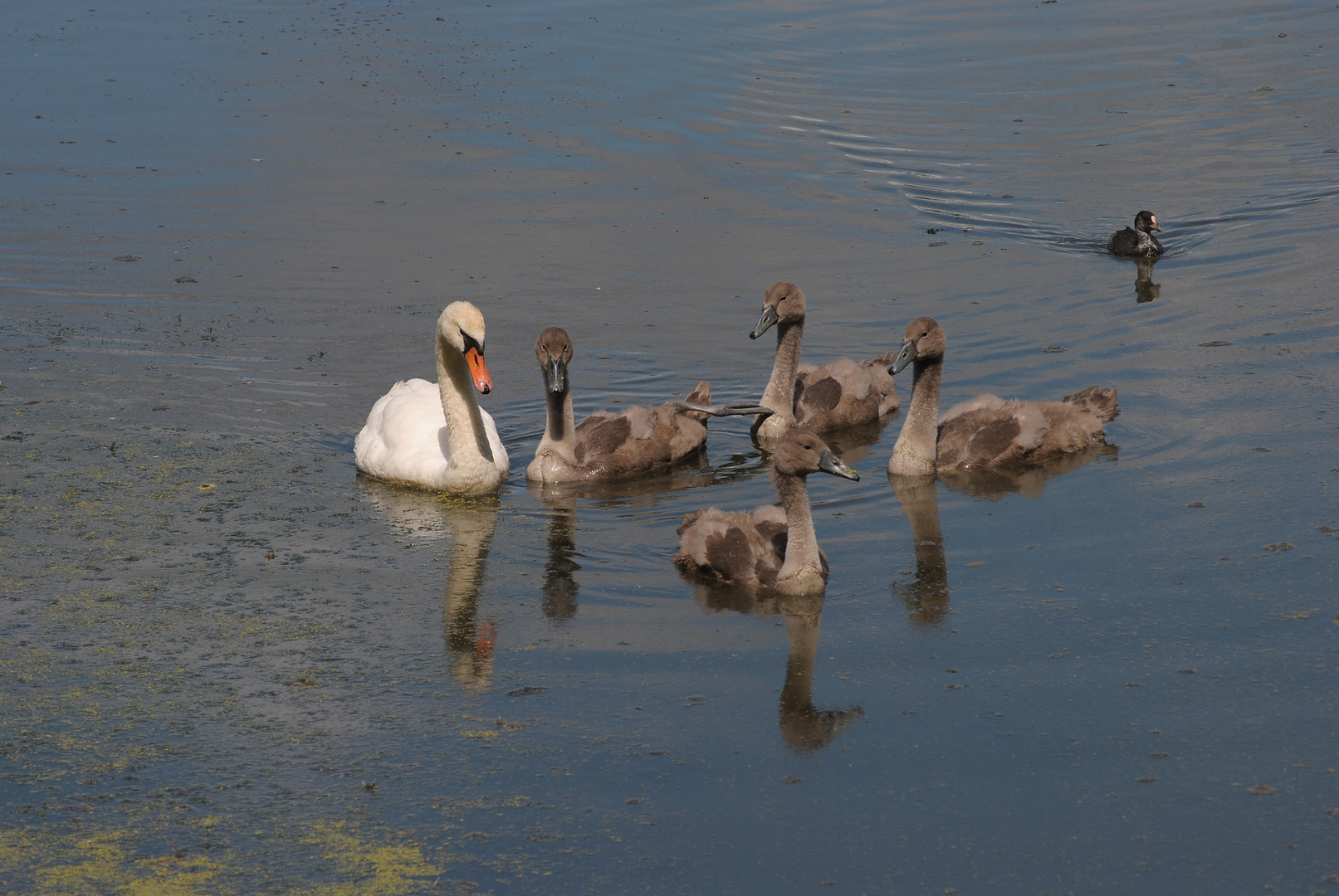 Familienausflug