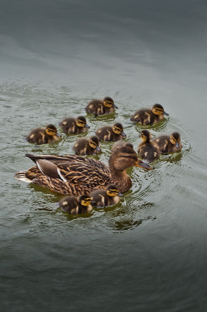 Familienausflug