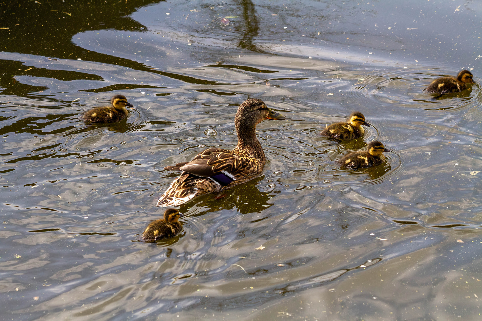 Familienausflug!