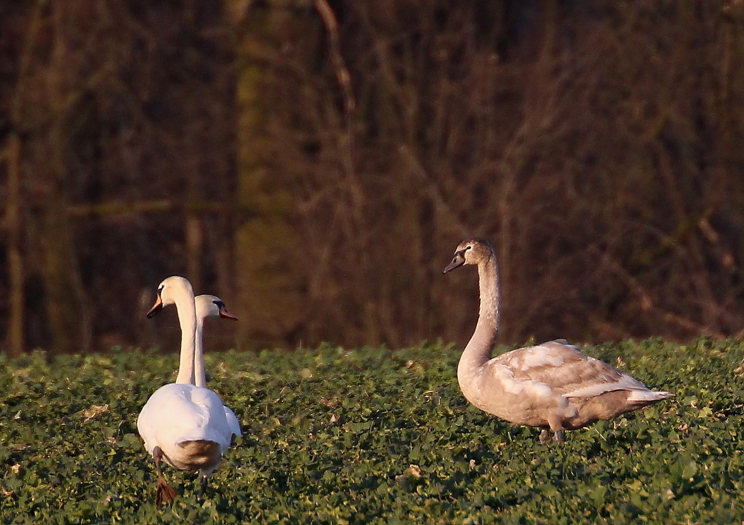 Familienausflug...