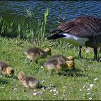 Familienausflug