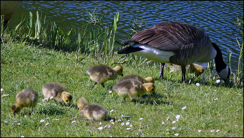 Familienausflug