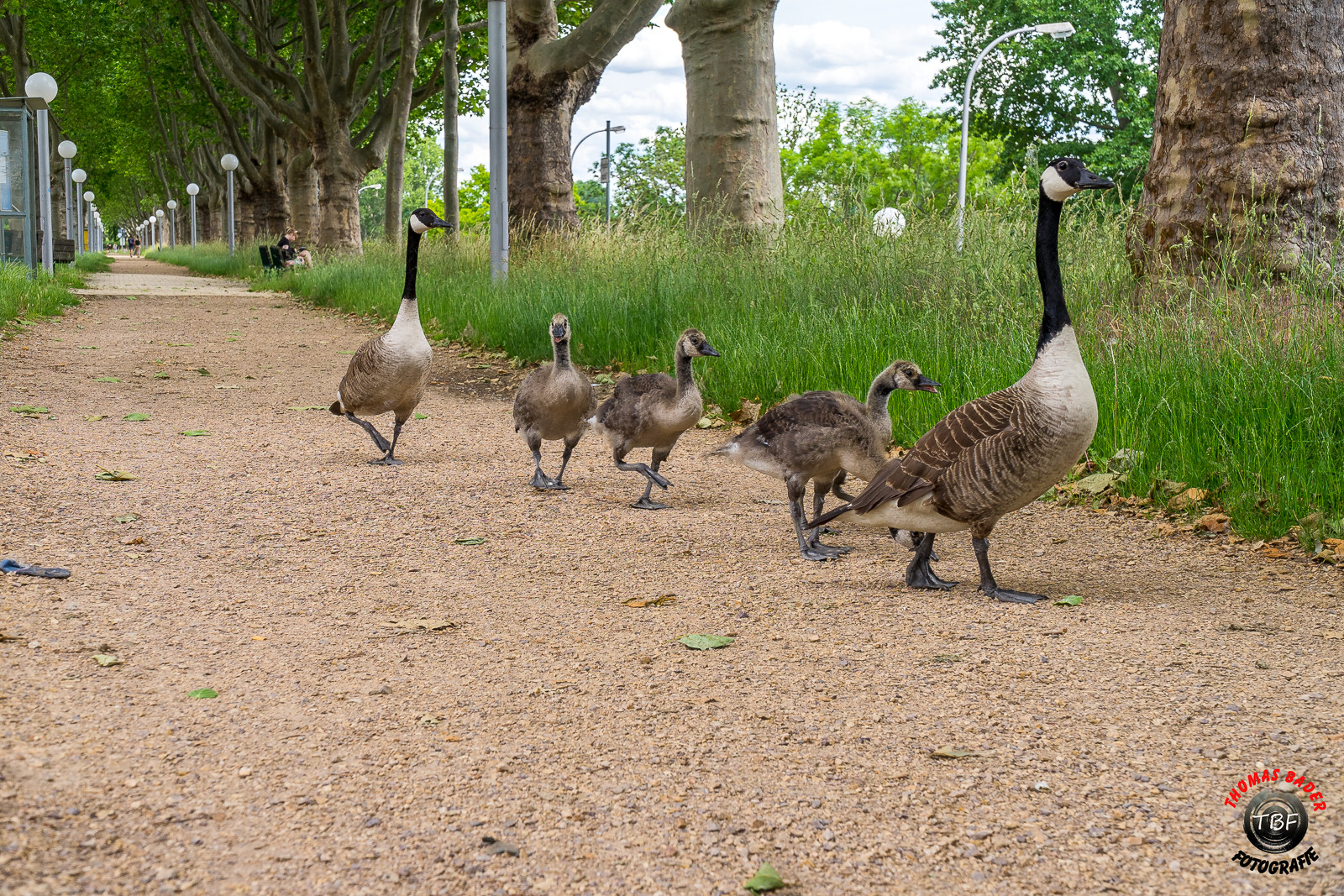 Familienausflug... ?