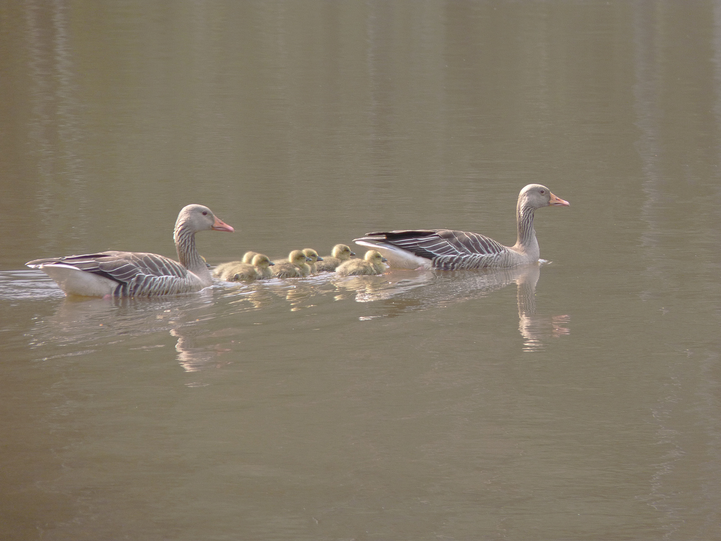 Familienausflug