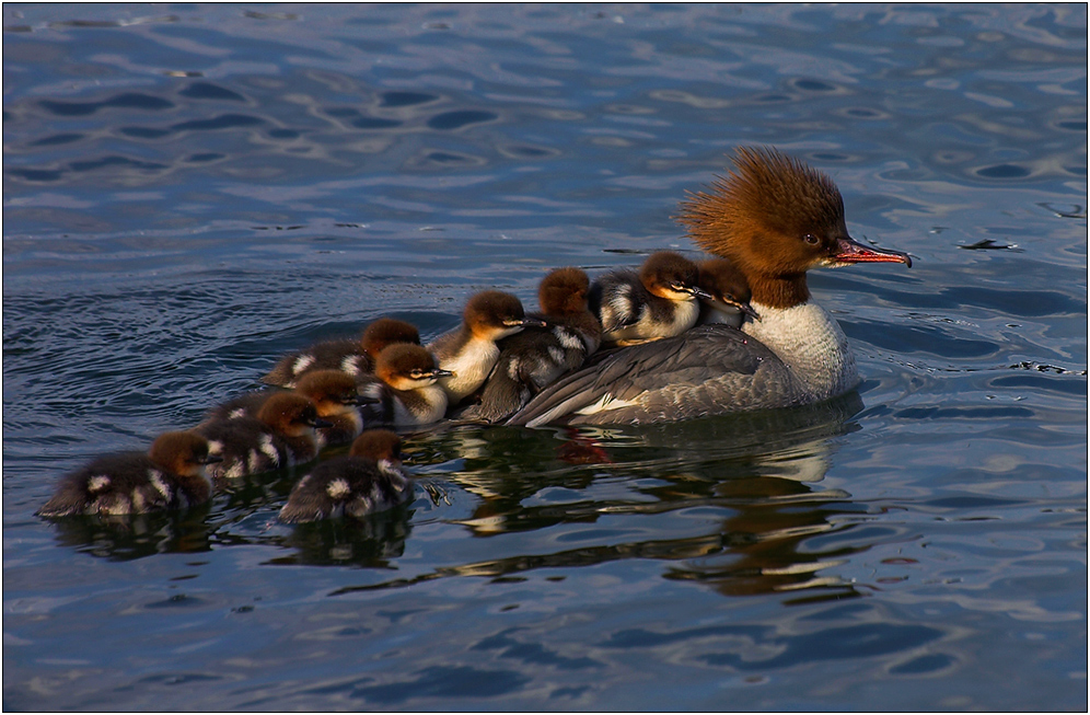 Familienausflug