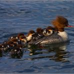 Familienausflug