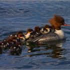 Familienausflug