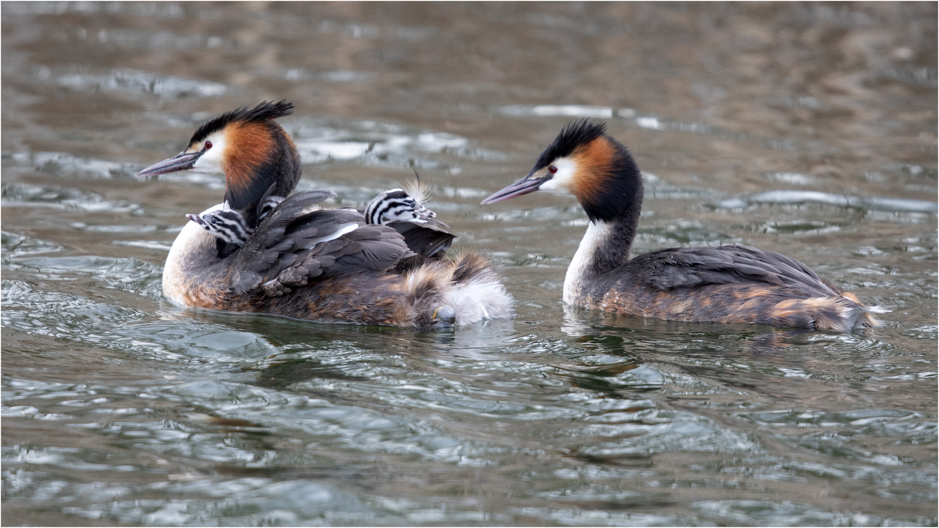 Familienausflug  .....