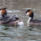 Familienausflug  .....