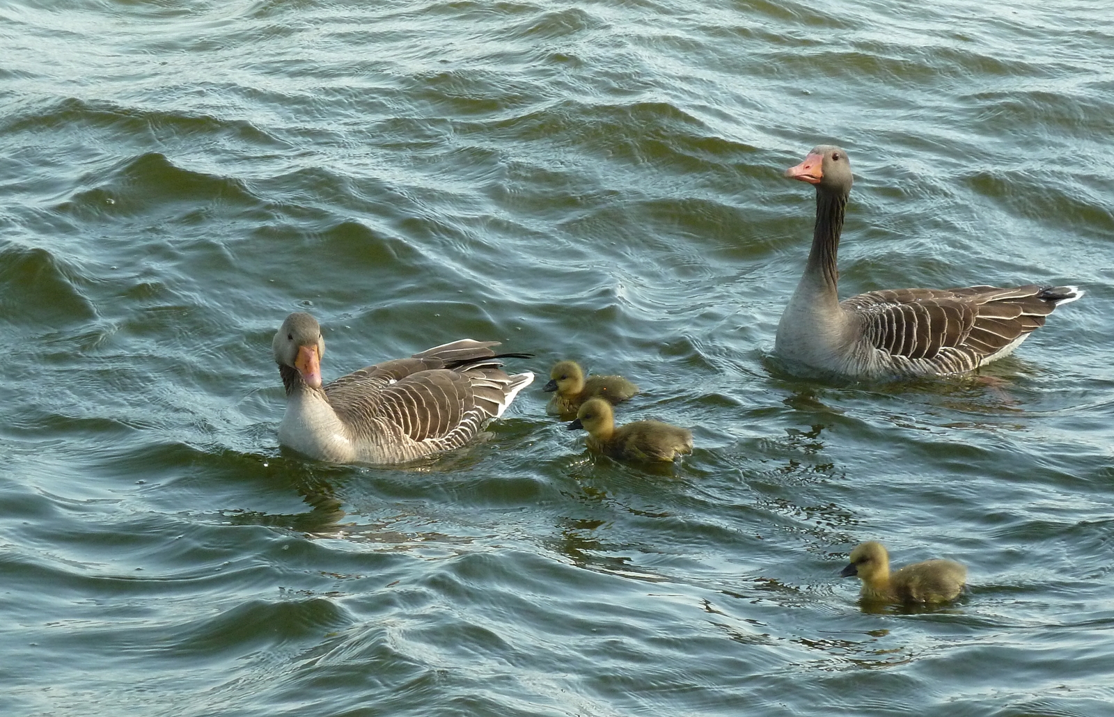 Familienausflug