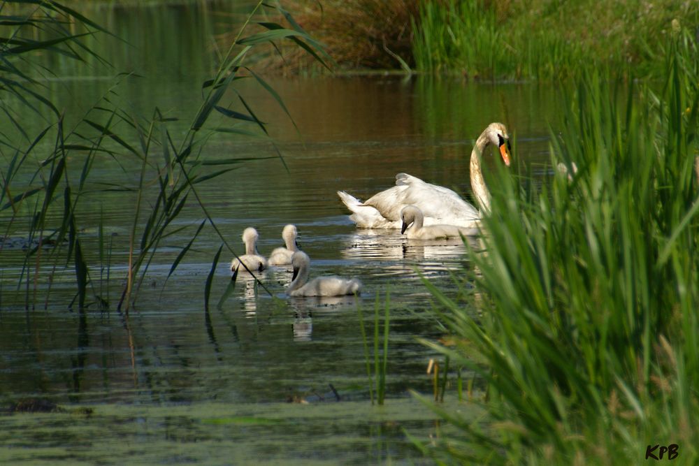 Familienausflug