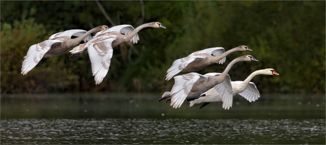 Familienausflug