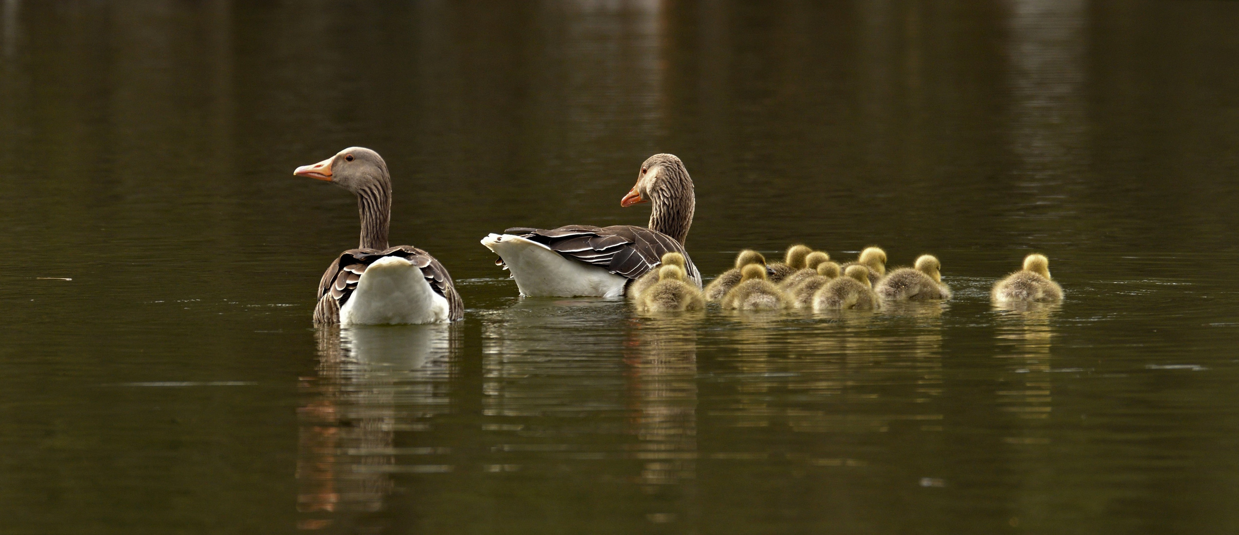 Familienausflug