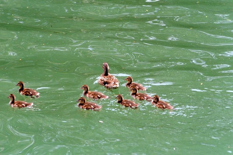 Familienausflug