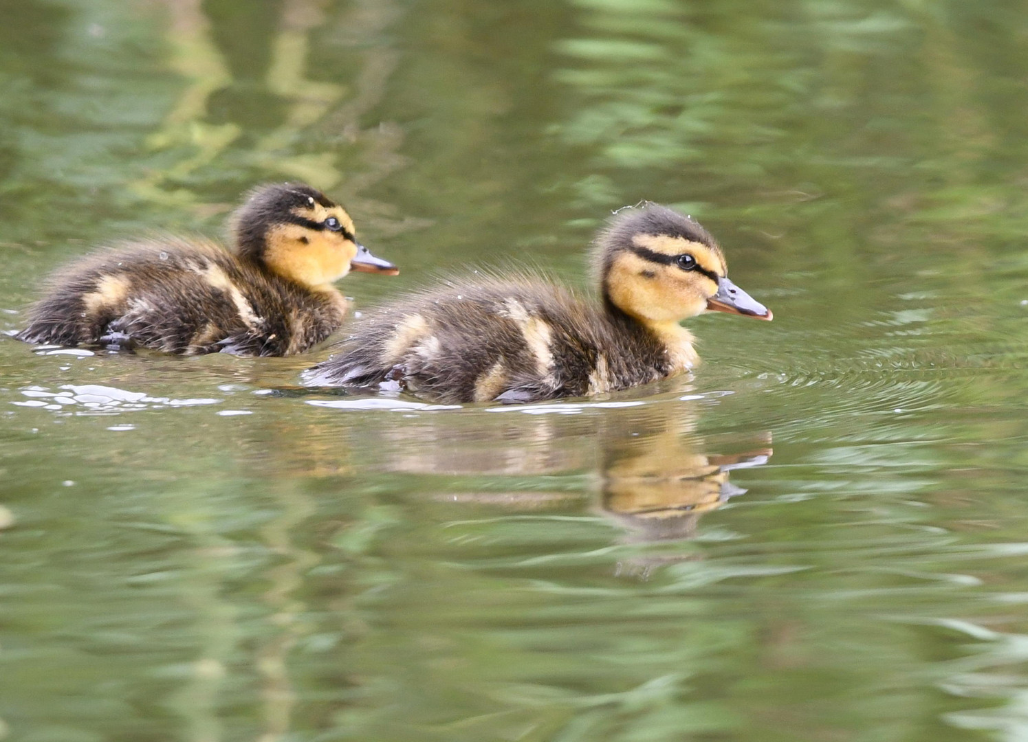 Familienausflug