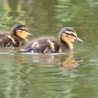 Familienausflug