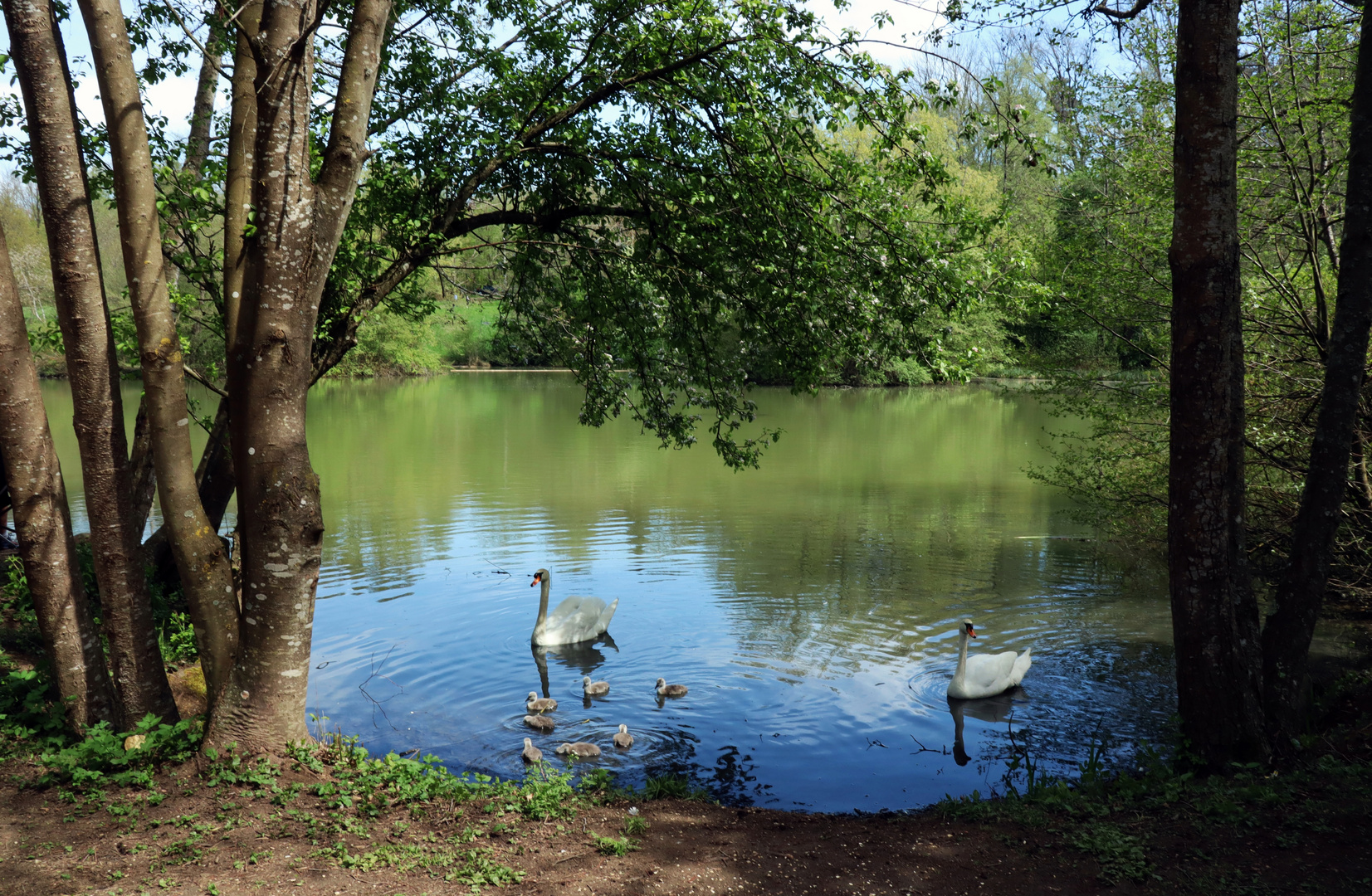 Familienausflug