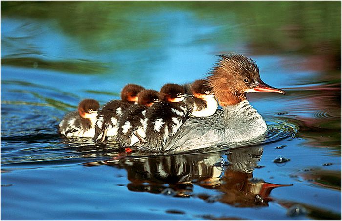 Familienausflug