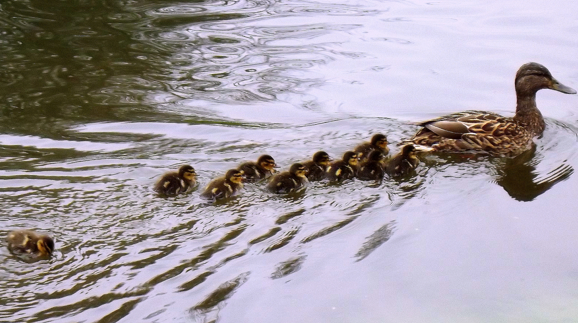 Familienausflug