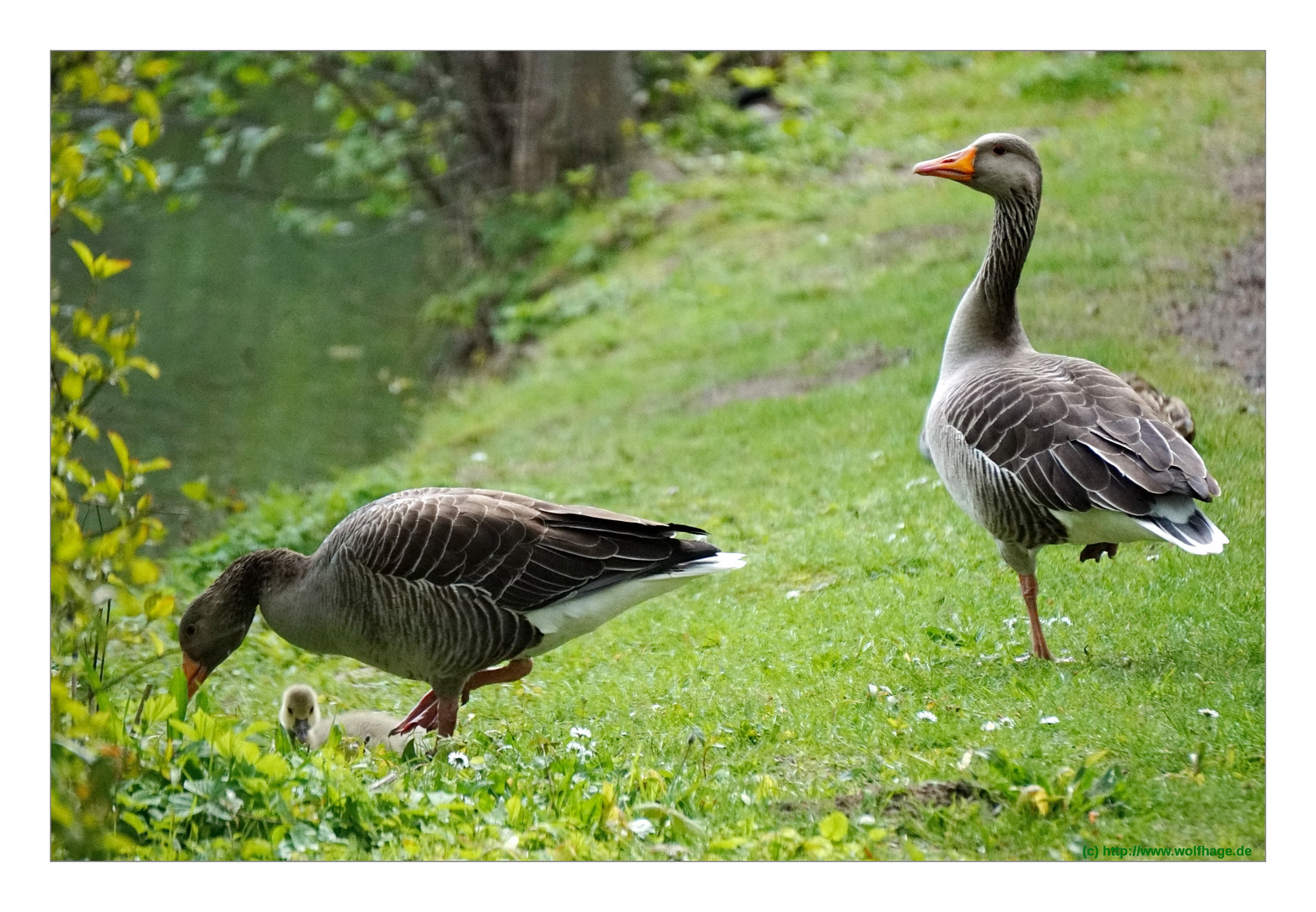 Familienausflug