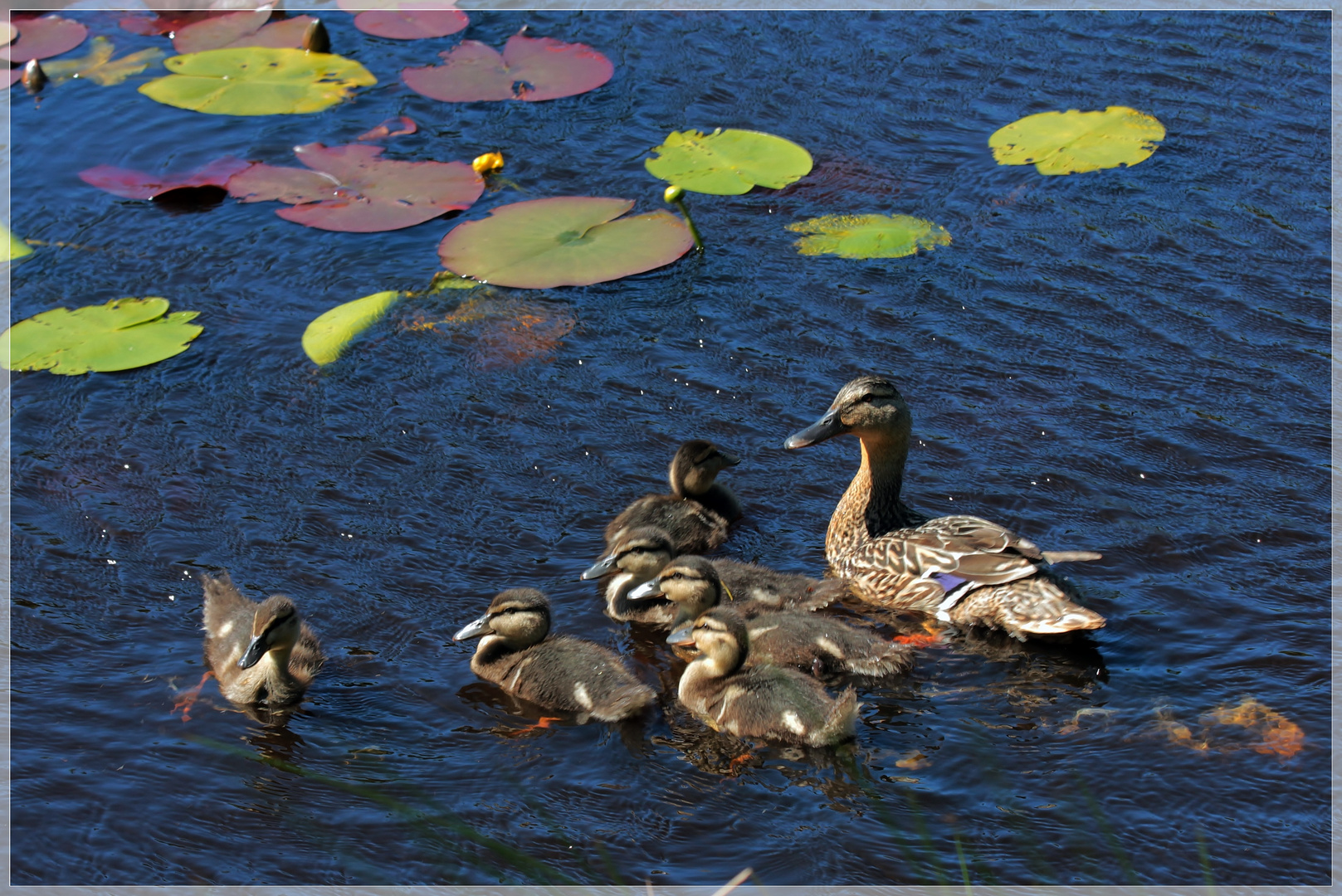 Familienausflug