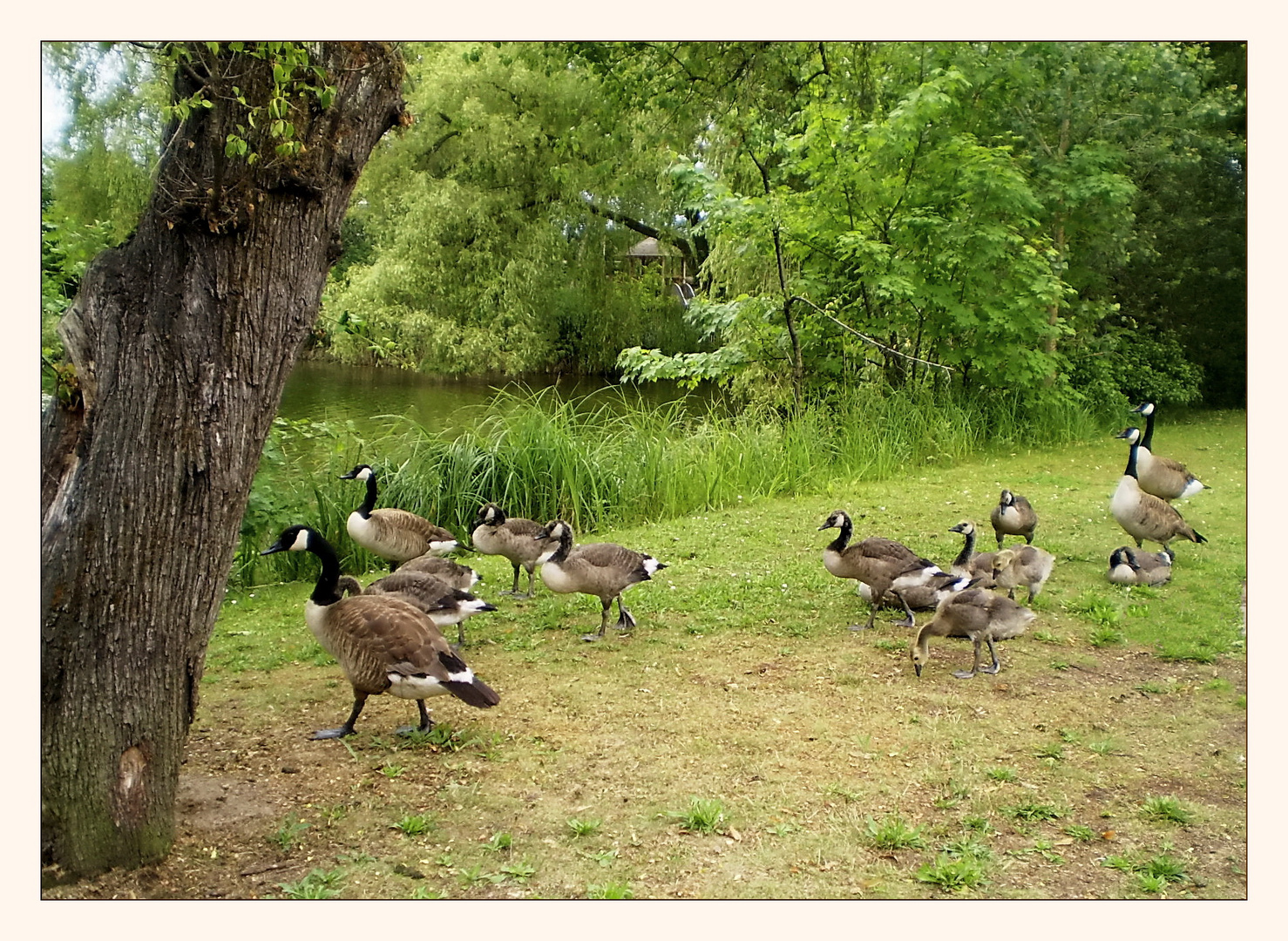 Familienausflug