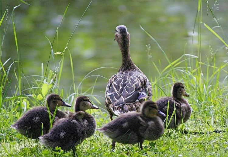 Familienausflug