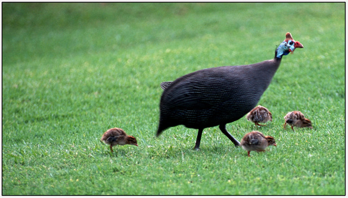 Familienausflug