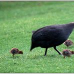 Familienausflug