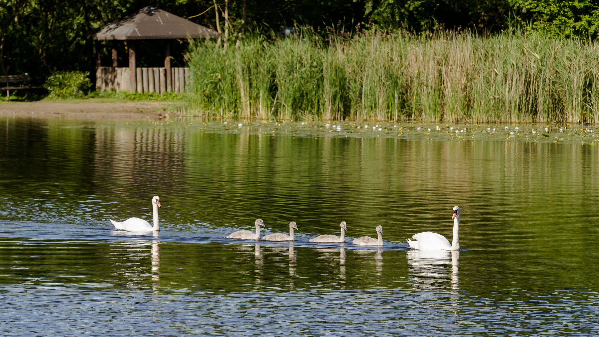 Familienausflug