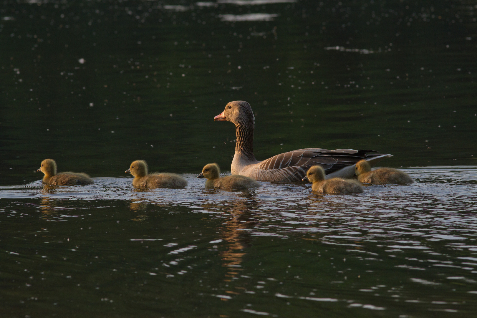 Familienausflug