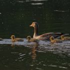 Familienausflug