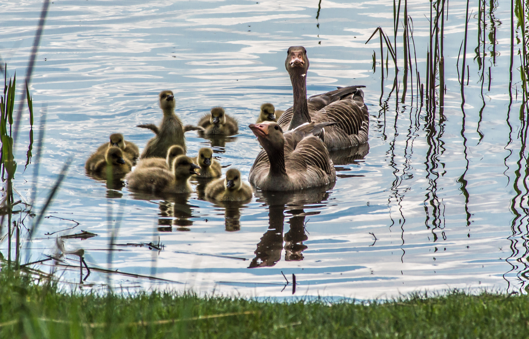 Familienausflug