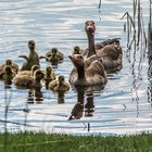 Familienausflug