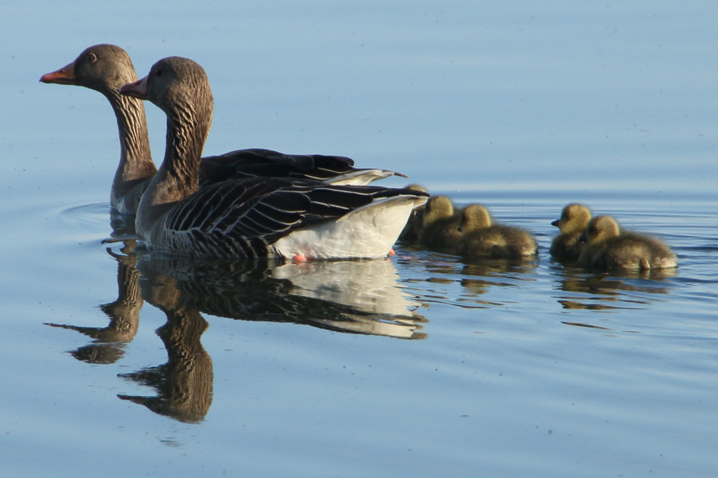 Familienausflug