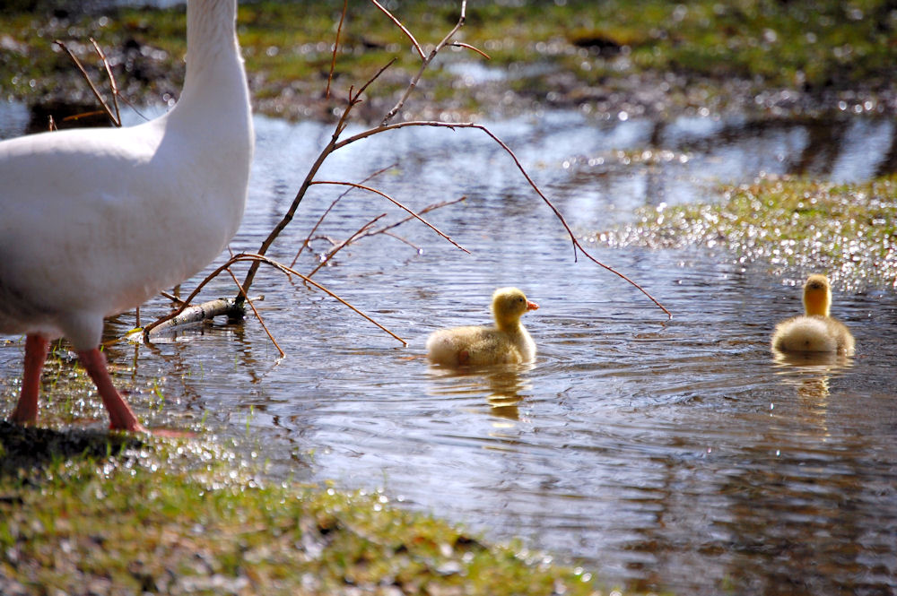 Familienausflug