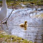 Familienausflug