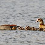 Familienausflug