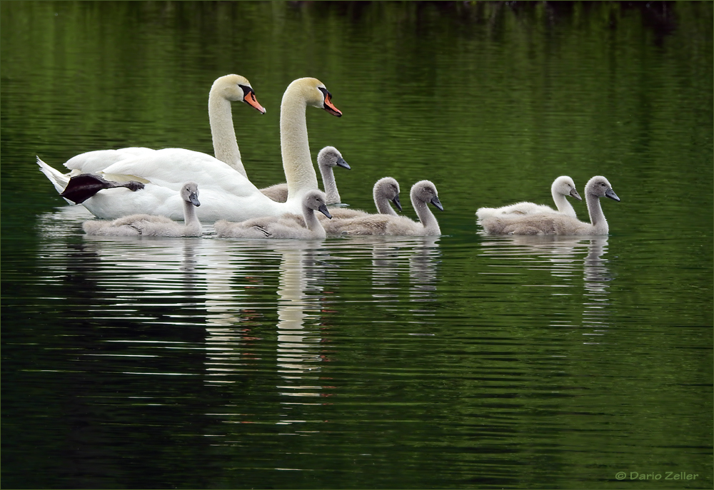 Familienausflug